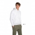 sols-snake-47101.jpg