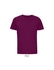 Astral Purple 171