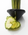 5010005.jpg_product